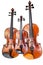 Family of violins