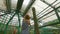 Family visiting the cacti, cactus zone in a botanical garden of Pennang, Malaysia