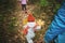 Family walk in the autumn. children walk along the path strewn with leaves