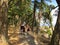 A family walking along a pathway surrounded by beautiful forest on Newcastle Island, outside Nanaimo, British Columbia, Canada.
