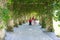 A Family Walking down a Whimsical Stone Trellis Path