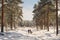 Family walking in forest on winter day. Spending leisure time close to nature. Snowy winter. Cold day. Active people. Physical