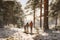 Family walking in forest on winter day. Spending leisure time close to nature. Snowy winter. Cold day. Active people. Physical