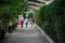 Family walks down tree and hedge lined footpath