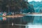 Family of white swan Cygnini and grey young swans floating on lake in wildlife