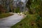 A family of wild ducks walk along a path in the autumn park