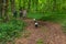 Family in the woods in search of mushrooms