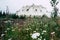 Famous abandoned igloo hotel from the 1970s sits along the George Parks Highway. Wildflowers in foreground