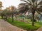 Famous Abu Dhabi city corniche park, UAE - beautiful modern park scene at sunset - stress free view