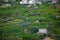 Famous Amalfi Coast view from the cliffside town of Ravello, Italy.