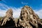 Famous Angkor Wat head statues