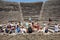 The famous archaeological site of Pompeii UNESCO heritage. Crowd of tourists under the scorching sun