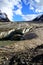 The famous Athabasca Galcier / Columbia Icefield in Alberta / British Columbia - Canada