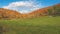 Famous beech forest in Spain, near the village Otot, near the volcanoes ambient La Fageda