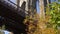 Famous Brooklyn Bridge, view from Brooklyn Bridge Park underneath. Fall colors on beautiful Sunny day without People