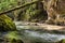 Famous canyon of Galbena in Transylvania, Romania