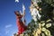 Famous Carnival of Nice, Flowers`battle. A woman entertainer launches white flower