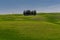 Famous Circle of Cypress trees in Tuscany