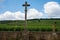 Famous clos vineyards with stone walls near Nuits-Saint-Georges in Burgundy wine region, France