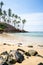 Famous Coconut Tree Hill in Mirissa, Sri Lanka Beach next to the Indian Ocean