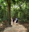 Famous Cu Chi tunnels. Vietnam