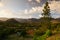 Famous Cuba farmland tobacco area at sunset, Valley de Vinales,Cuba.