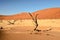Famous Dead Viel of Namibia