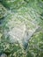 The famous Dinosaur footprints at An Corran beach by Staffin on the isle of Skye