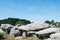 Famous dolmen megalith in Carnac -  Britany - France