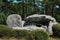 The famous dolmen megalith in Carnac -  Britany - France view of the famous dolmen megalith in Carnac -  Britany - France