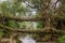 Famous Double Decker living roots bridge near Nongriat village, Cherrapunjee, Meghalaya, India