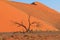 The famous dune 45. The Namib-Naukluft National Park of Namibia