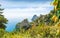 Famous Faraglioni Rocks buried in verdure, Capri Island, Italy