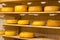 Famous farmer cheese lying on wooden shelves, Amsterdam, Netherlands