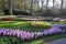 Famous flowers park Keukenhof in Netherlands