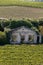 Famous French Vineyards at Saint Emilion town near Bordeaux, France.