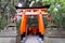 The famous Fushimi Inari-taisha in Kyoto