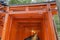 The famous Fushimi Inari-taisha in Kyoto