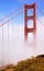 The famous Golden Gate Bridge and the famous fog of San Francisco