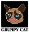 Famous Grumpy Cat Vector Drawing