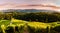 Famous heart shaped street at vineyards in Slovenia close to the border with Austria south styria