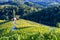 Famous Heart shaped wine road in Slovenia, vineyard near Maribor