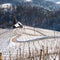 Famous Heart shaped wine road in Slovenia in winter,