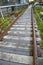 Famous High Line, elevated linear park, greenway and rail trail created on former New York Central Railroad spur on west side of M