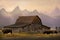 The famous John Moulton barn in Grand Teton on Mormon Row with bison.