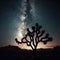 The famous Joshua Tree stand in the night sky with Milky Way above