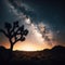 The famous Joshua Tree stand in the night sky with Milky Way above