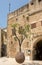 Famous levitated orange tree in old Jaffa