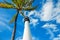 Famous lighthouse at Key Biscayne, Miami