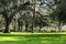 famous live Southern Live Oaks covered in Spanish Moss growing in Savannah`s historic squares. Savannah, Georgia